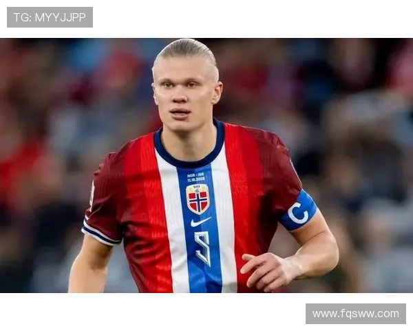 哈兰德数据含金量争议:效率与体系依赖如何界定 哈兰德数据含金量争议:效率与体系依赖如何界定